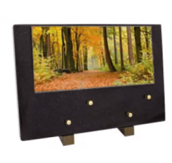 Plaque grand modele foret automne
