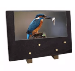 Plaque grand modele martin pecheur
