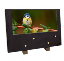Plaque grand modele mesange