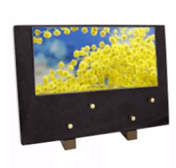 Plaque grand modele mimosa
