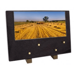 Plaque grand modele moisson