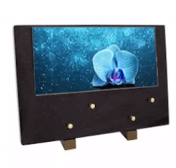 Plaque grand modele orchidee bleue etoiles