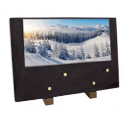 Plaque grand modele sapin neige