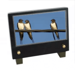 Plaque petit modele trois oiseaux