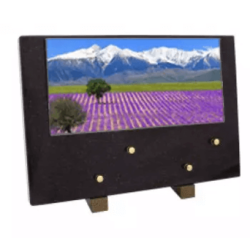 Plaque grand modele champ lavande