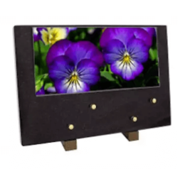 Plaque grand modele pensees fleurs
