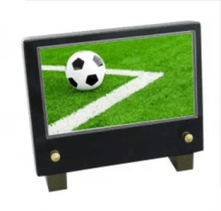 Plaque petit modele ballon football