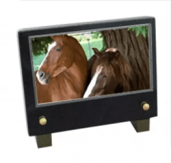 Plaque petit modele chevaux