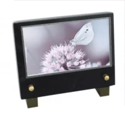 Plaque petit modele papillon blanc