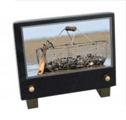 Plaque petit modele peche a pied
