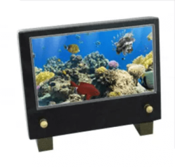 Plaque petit modele poissons exotiques
