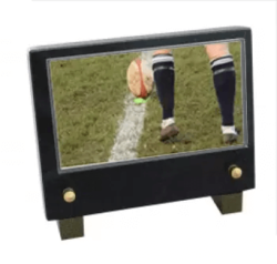 Plaque petit modele rugby