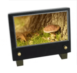Plaque petit modele champignon