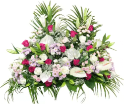 Devant Cercueil Fleurs Pastel